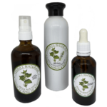Stinging Nettle Hair Care Products